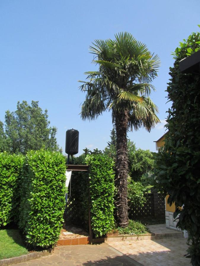 Apartments Zvezdica*** With Garden Zambratija  Buitenkant foto