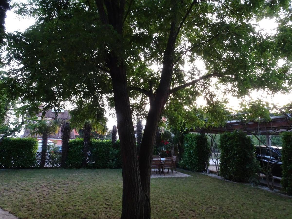 Apartments Zvezdica*** With Garden Zambratija  Buitenkant foto